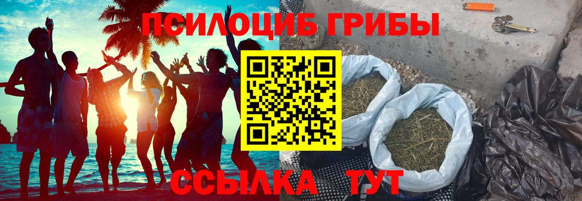 Галлюциногенные грибы Cubensis Первоуральск